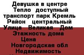 Девушка в центре. Тепло, доступный транспорт парк Кремль › Район ­ центральный › Улица ­ Великая › Дом ­ 5 › Этажность дома ­ 3 › Цена ­ 13 000 - Новгородская обл. Недвижимость » Квартиры аренда   . Новгородская обл.